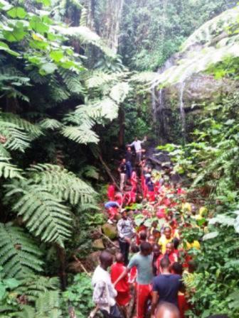 Environmental Week: Nurturing Young Eco-Warriors